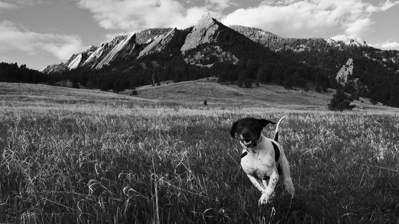 spring in boulder - The Rhythm of Life